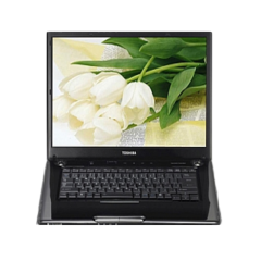 二手东芝 Satellite B654回收